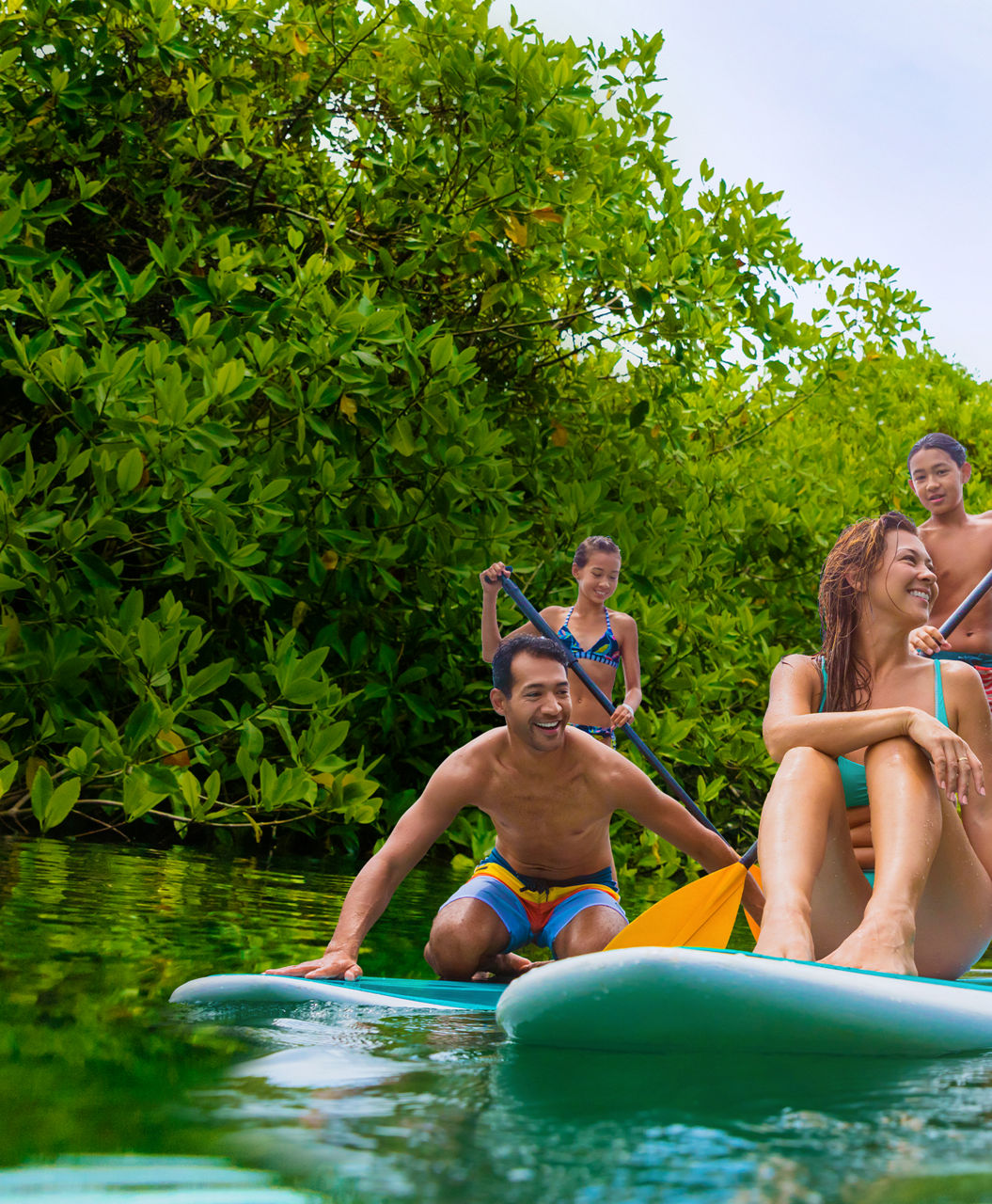Family Paddle Boarding on Vacation Polyvision 1920 480 FAM NF 2x