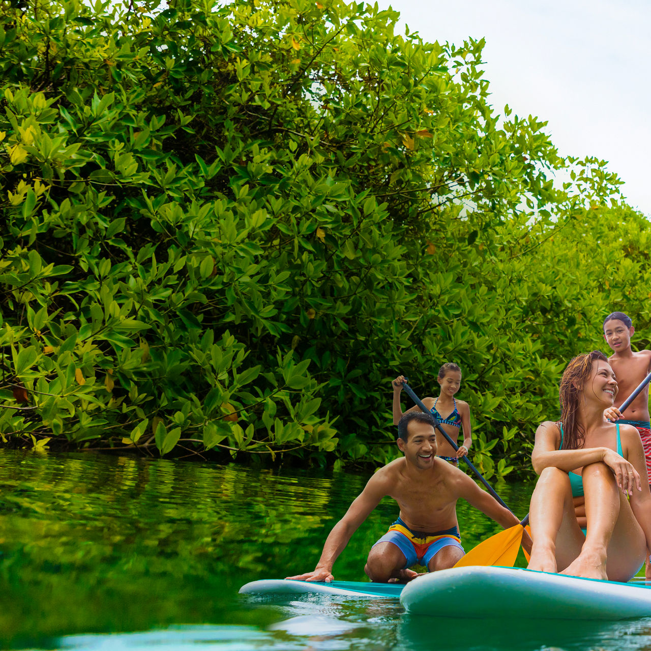 Family Paddle Boarding on Vacation Square 1050 1050 FAM NF 2x
