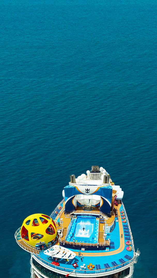 Odyssey of the Seas Aerial View Poster 608 1080 FAM NF 2x