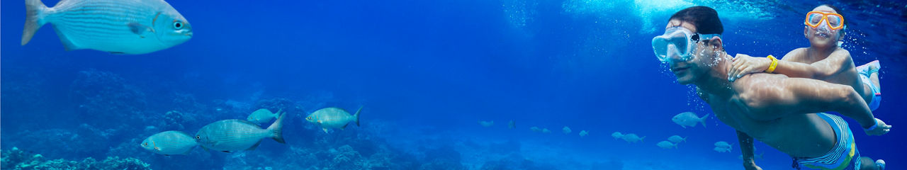 Dad and Son Snorkeling in Cozumel, Mexico | Deals