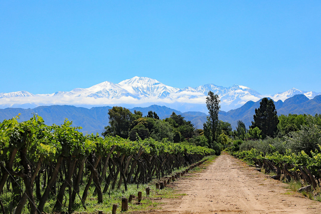 exploring the Argentinian vineyard in the mountains in Argentina. South America.