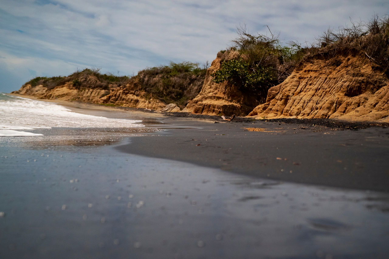 black volcanic sand beach in Vieques Puerto Rico. The Caribbean.