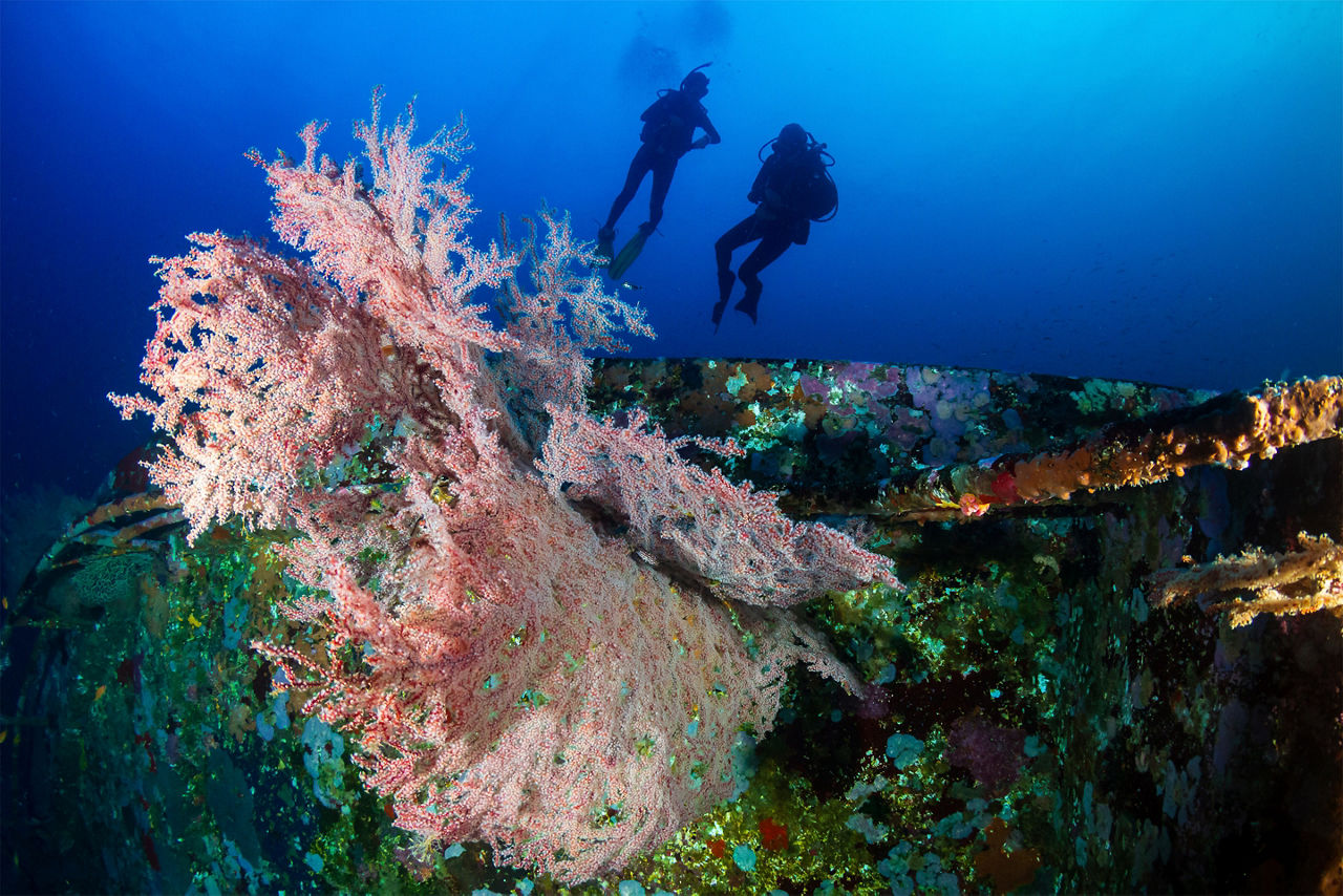 Two scuba divers exploring a reef on a shipwreck. The Caribbean.