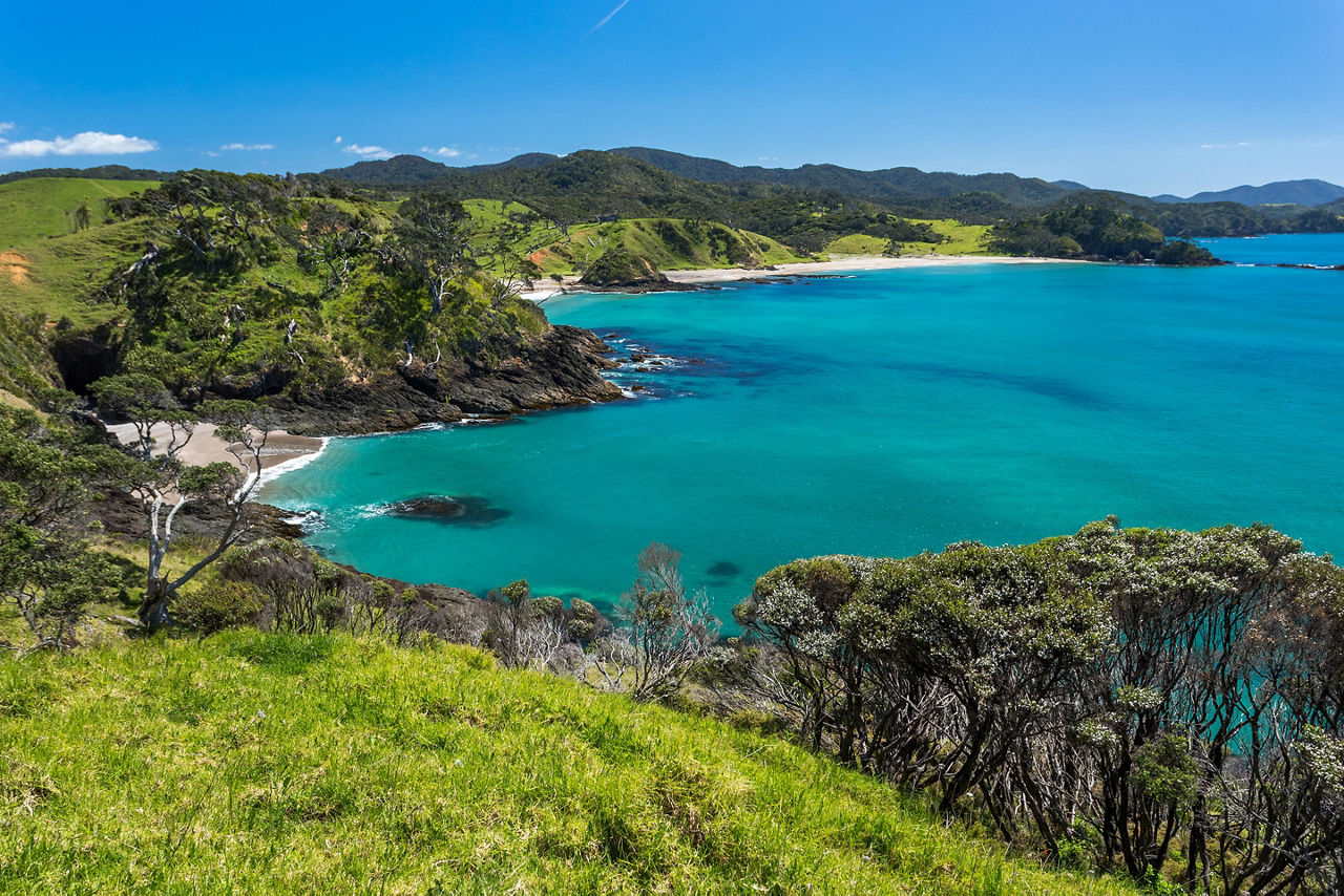 View of the nature's landscape along the coast of the Pacific ocean in Bay of Islands, New Zealand