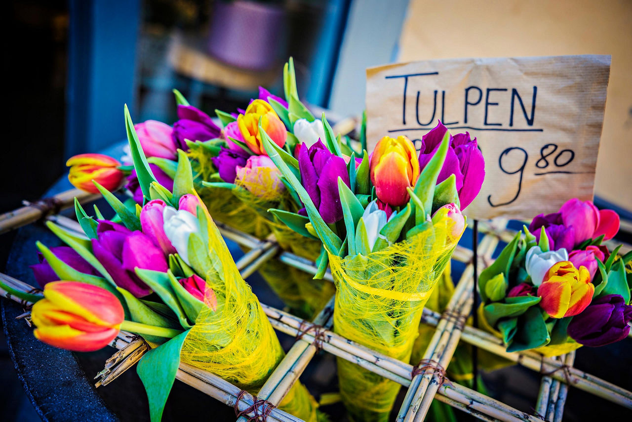 bremerhaven germany tulip bouquets