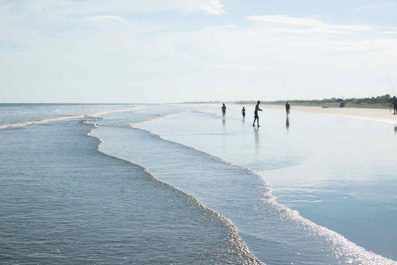 Palmetto Paradise Beach, Charleston, South Carolina