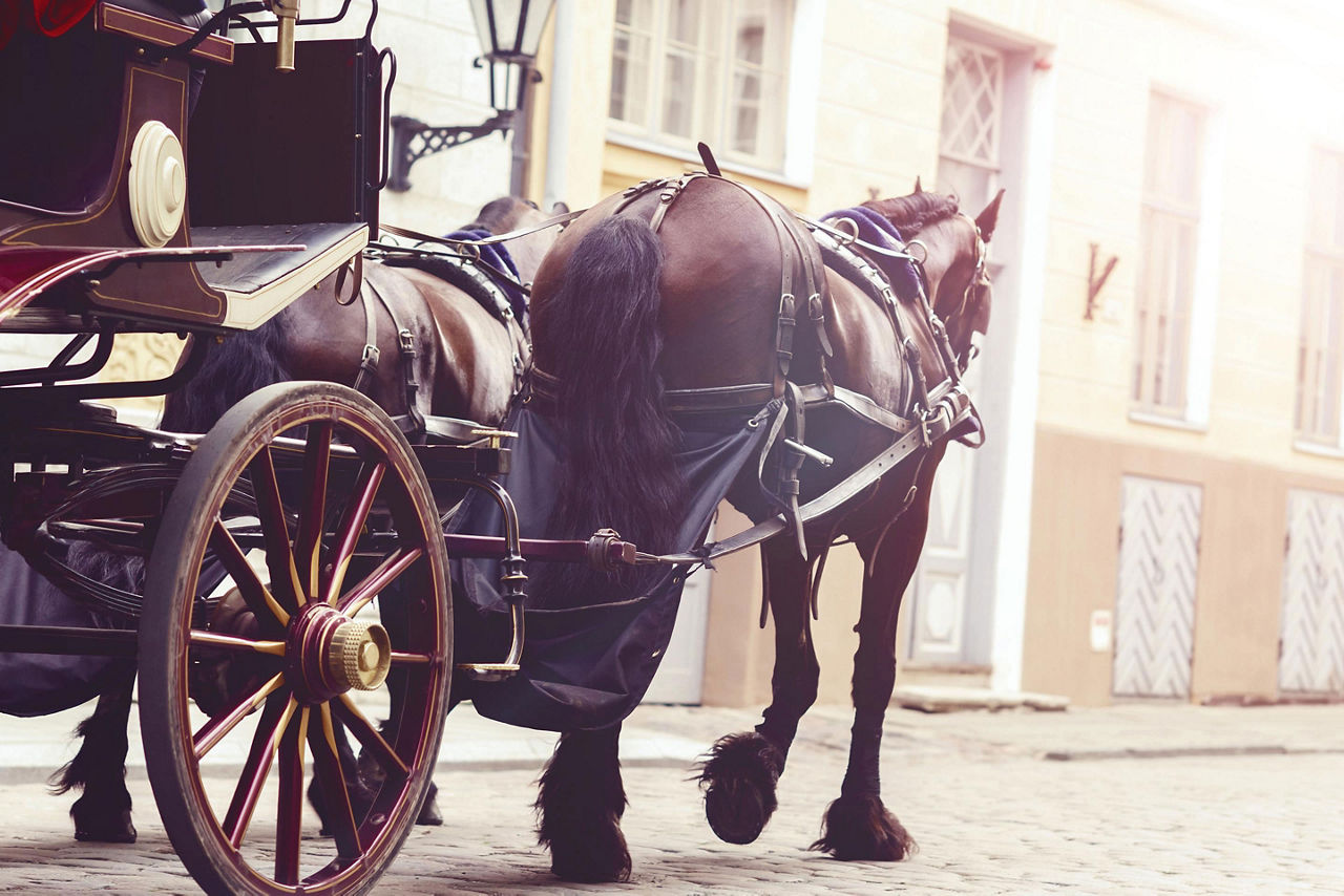 A horse drawn carriage