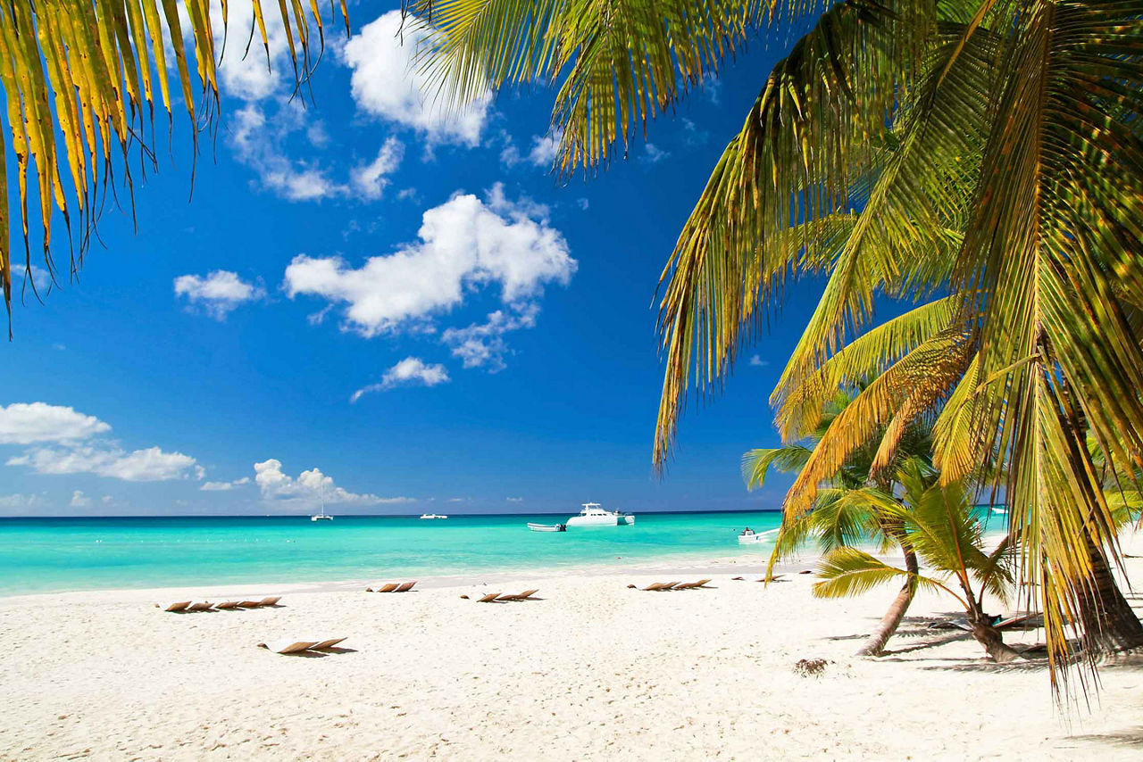 Bahamas Sandy White Beach Crystal Blue Water , Grand Bahama Island