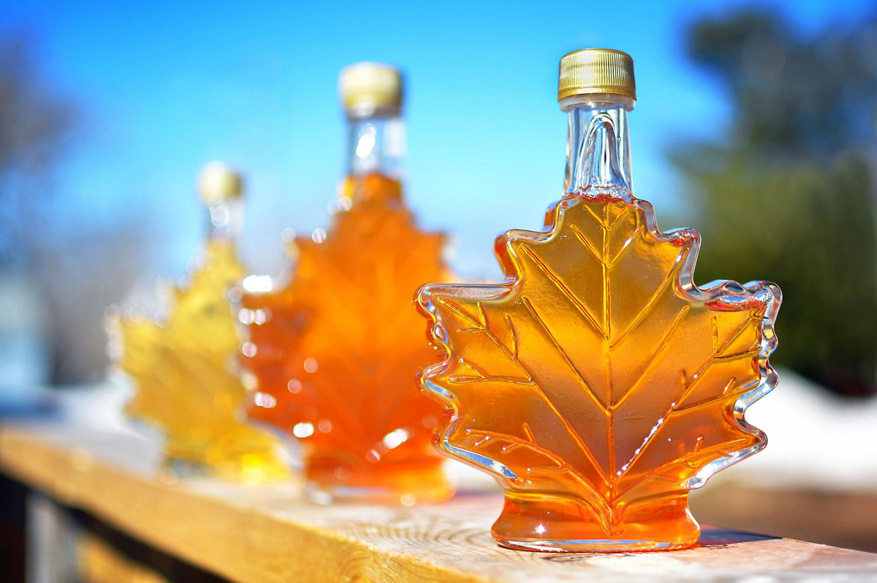 Maple Syrup, Halifax, Nova Scotia