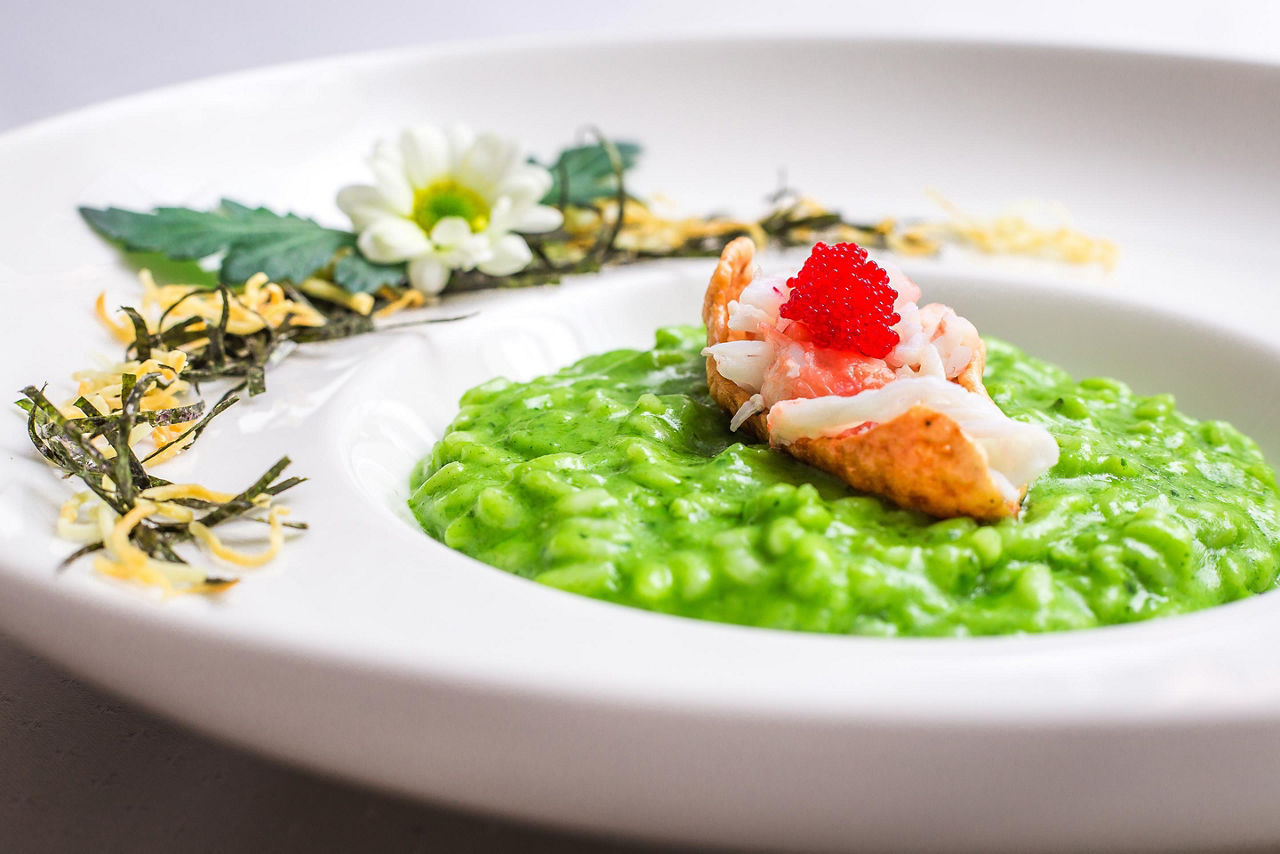 Pesto Arugula Risotto, Honningsvag, Norway