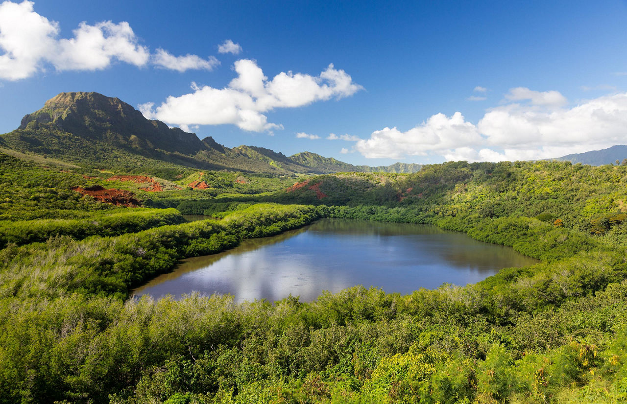 Traditional hawaiian fish pond in Kauai, Hawaii