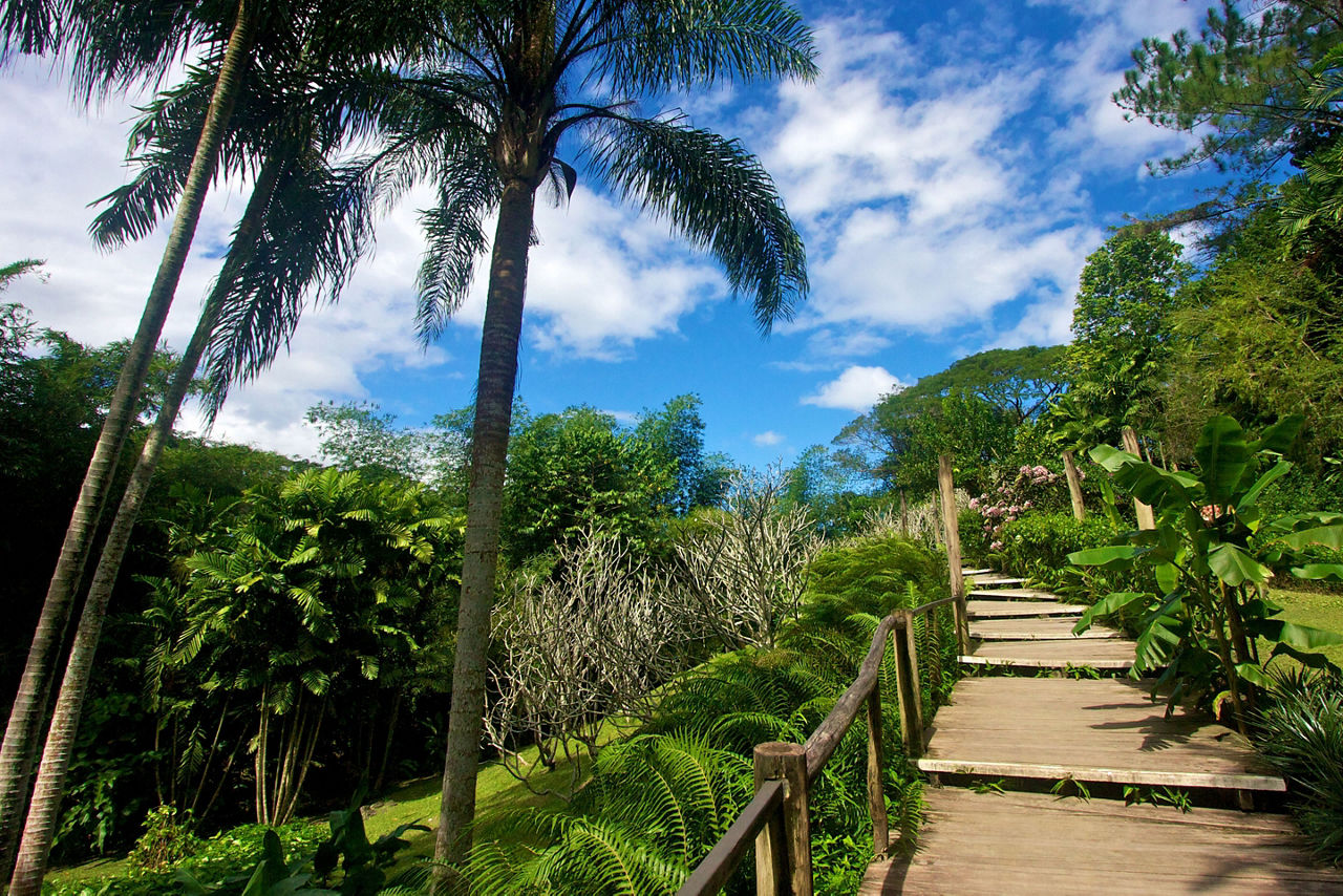 An uphill path at Sleeping Giants garden