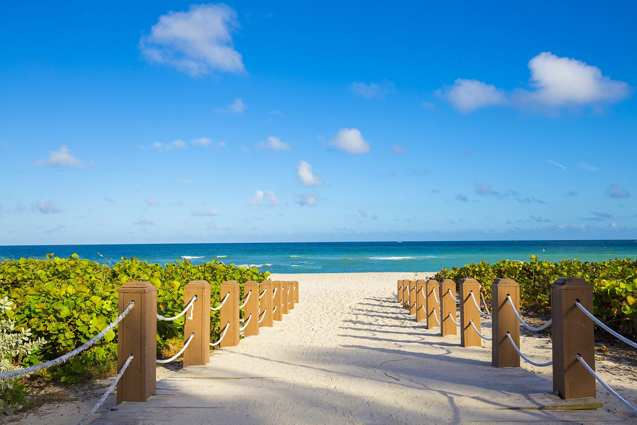 Miami Beach Sandy Beach Sun Ocean