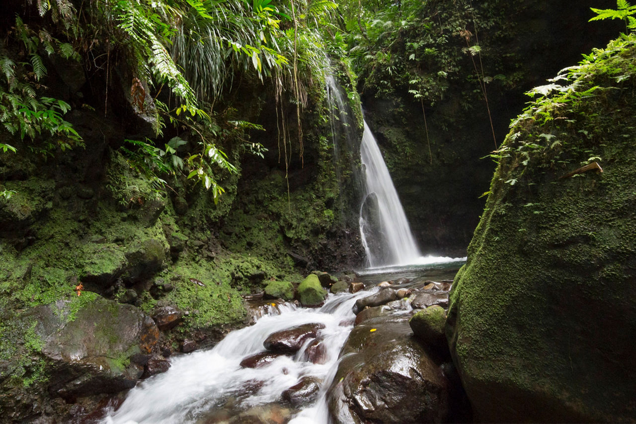 Hibiscus Falls Daytime, Roseau Dominica