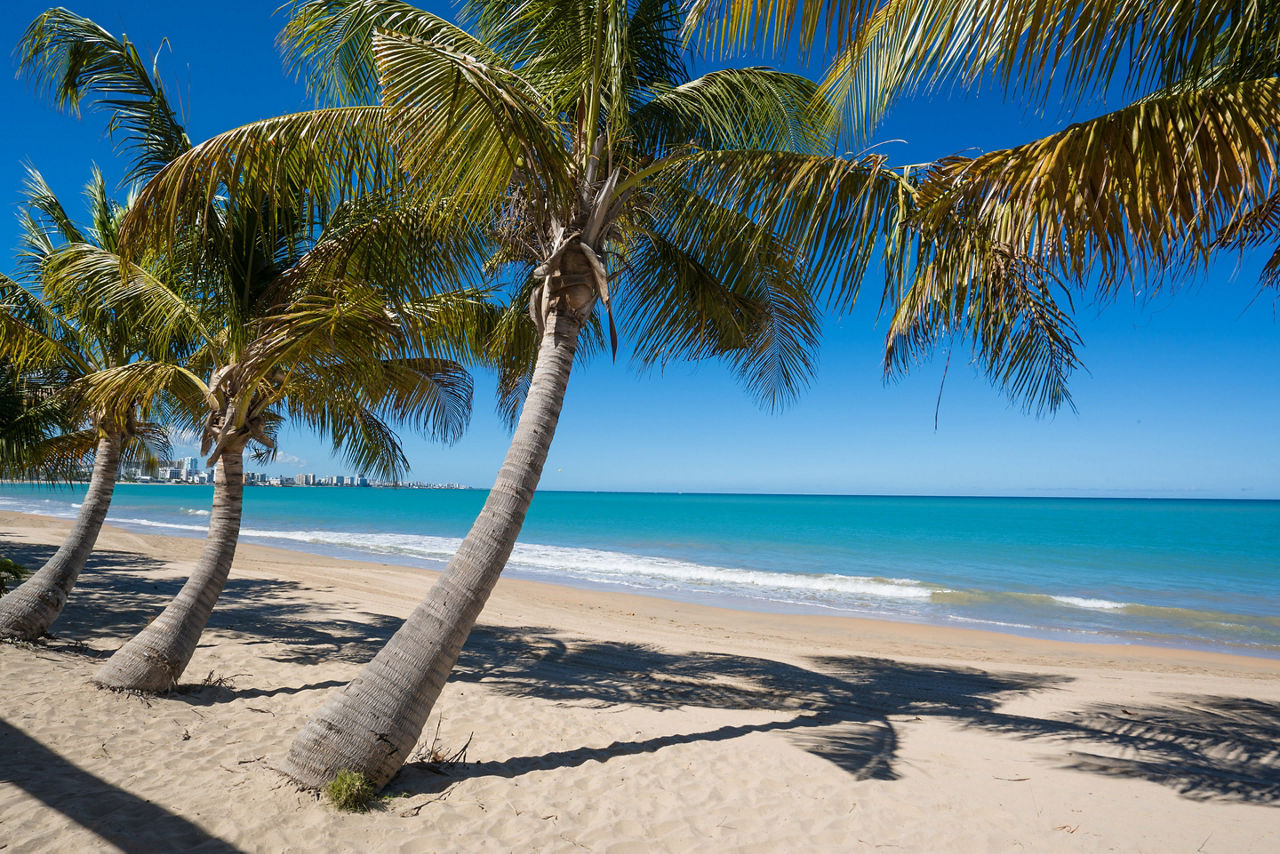 Isla Verde Shores,  San Juan, Puerto Rico