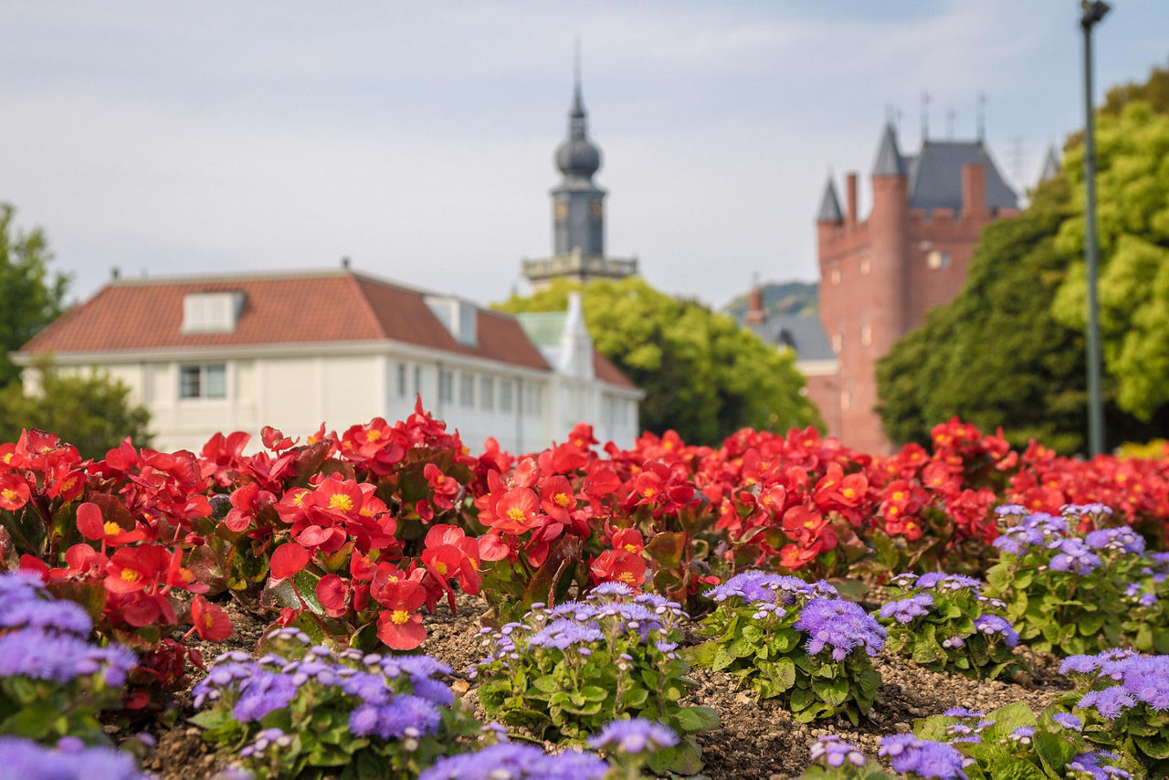 Colorful flowers in the flower road zone inside Huis Ten Bosch Theme Park in Sasebo, Japan