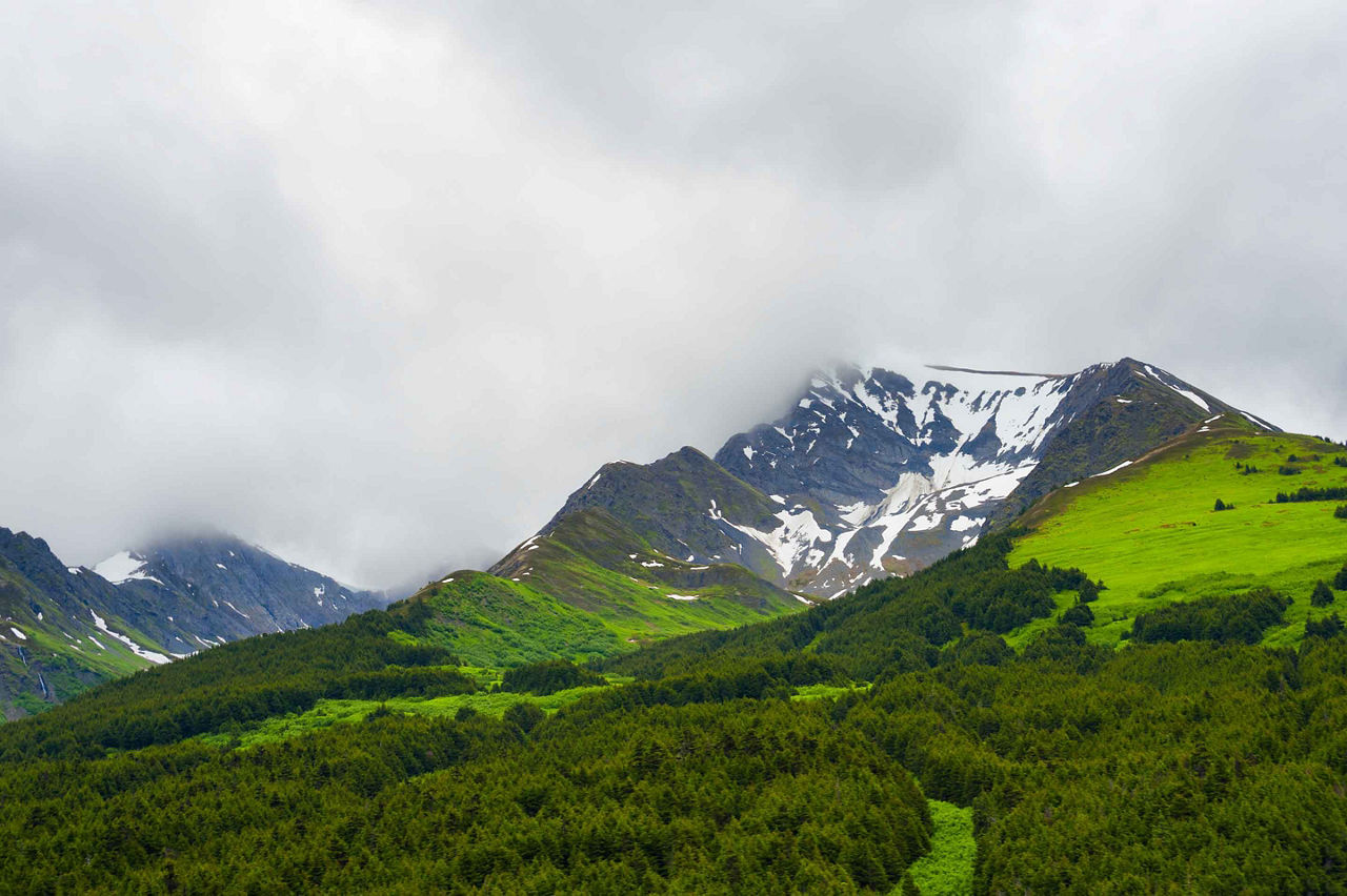 Chilkoot Trail Hiking Trail, Skagway, Alaska 