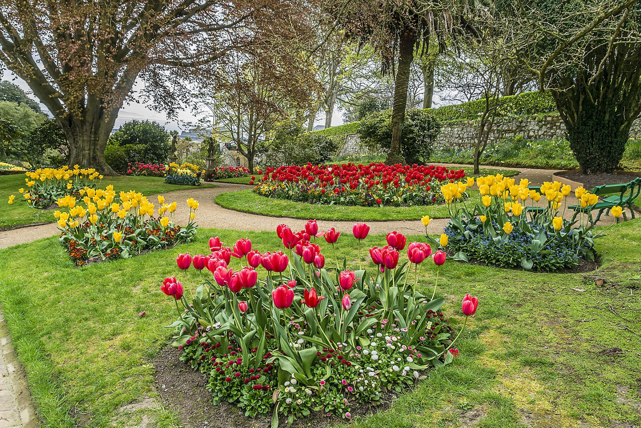 The Victorian Candie Gardens flowers in Saint Peter Port, Channel Islands