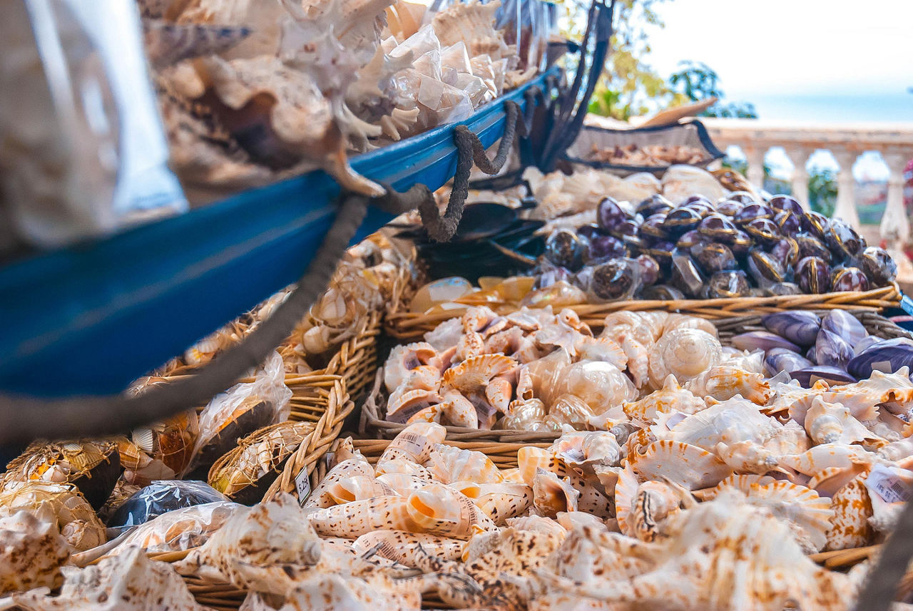 An assortment of souvenir shells