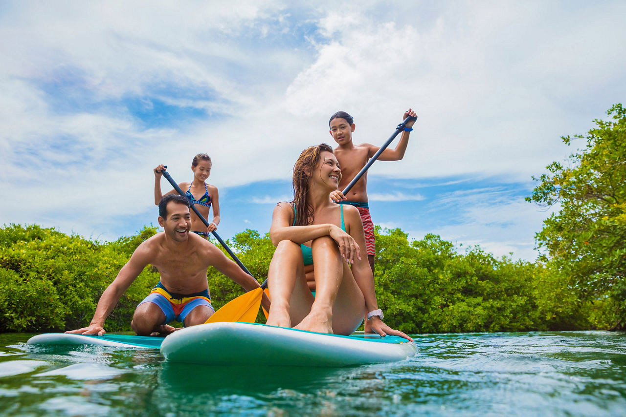 Mexico Cozumel Paddle Board Family