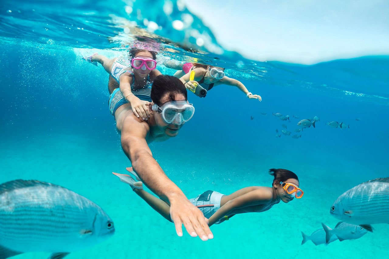 A family of four snorkeling with fish at CocoCay