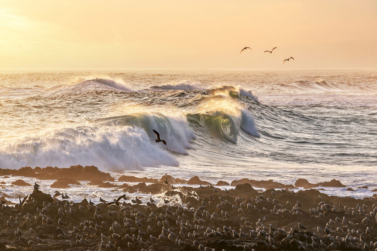 Check out Chile's most famous wave