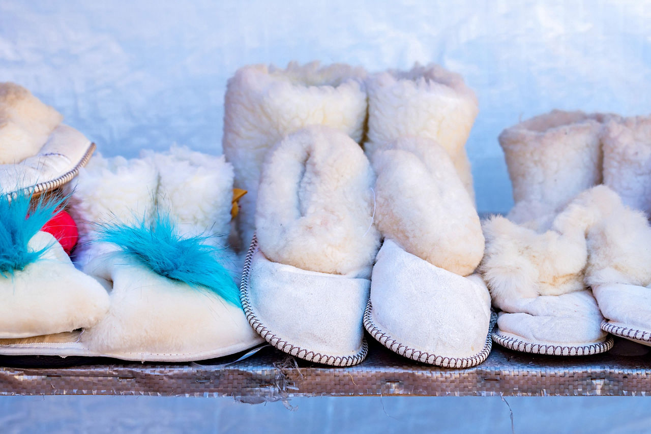 Several white domestic uggs