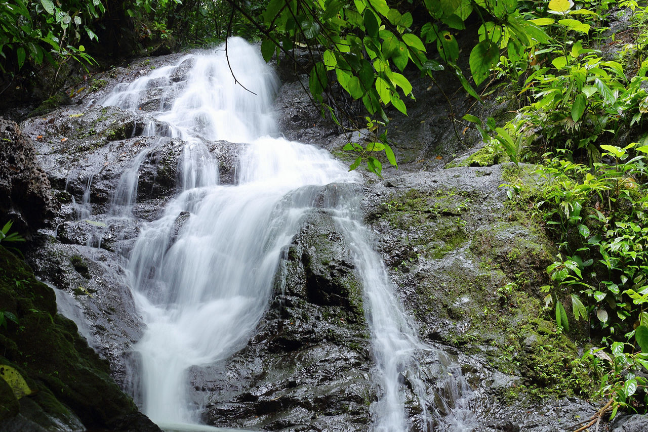 Waterfall in Costa Rican jungle