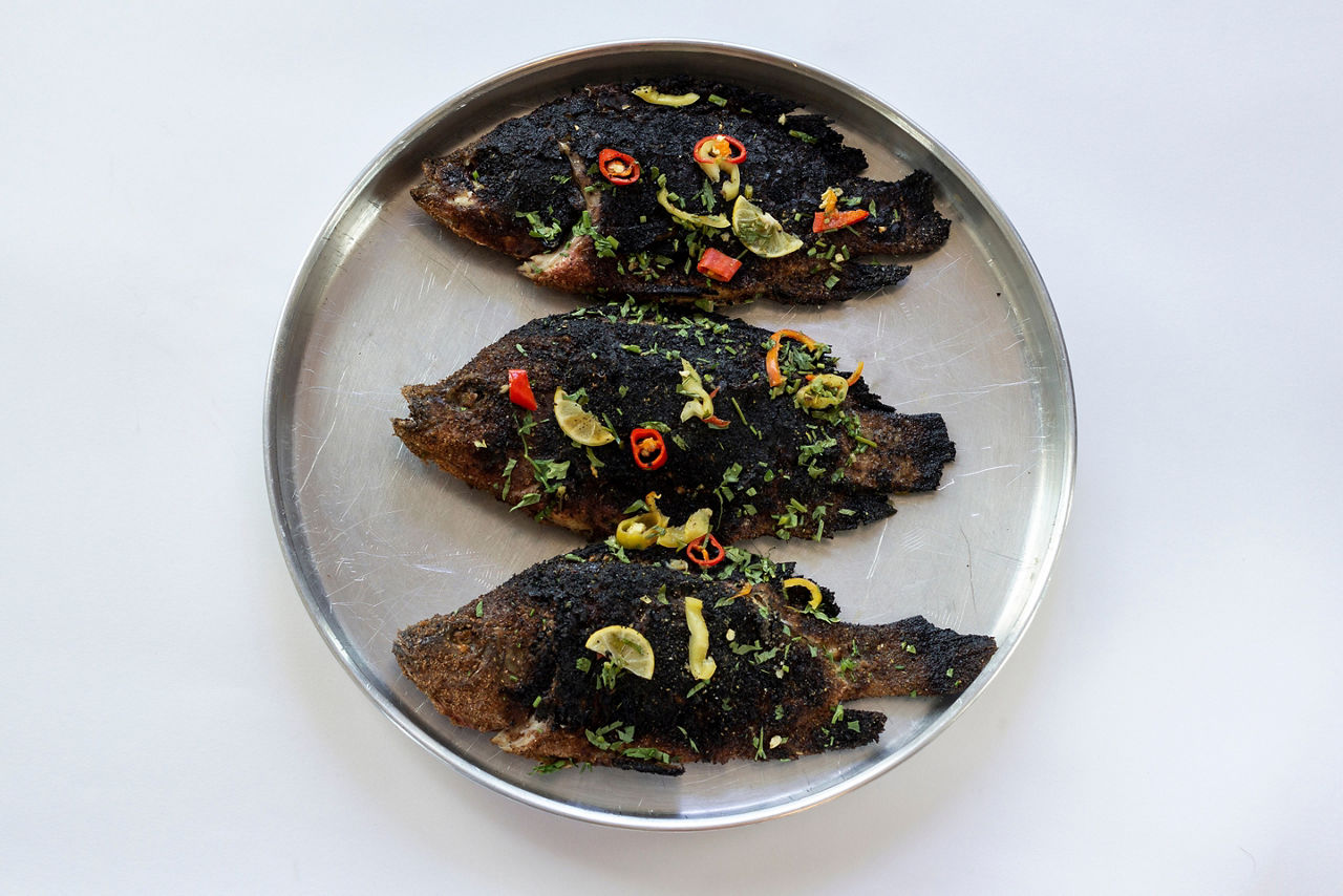 Grilled Tilapia egyptian fish 