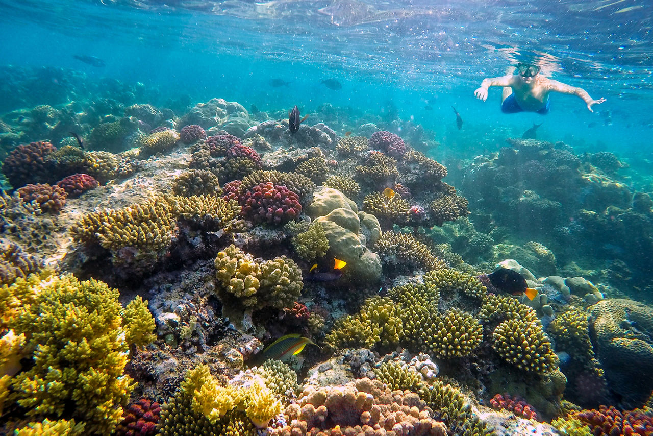 Underwater shoot of a young boy snorkeling 