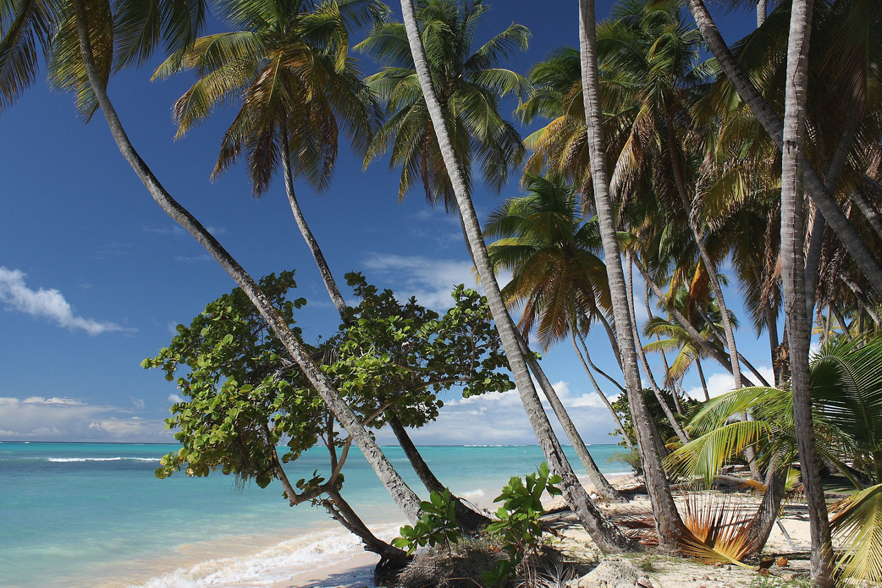 Longing dreams Tobago Pigeon Point