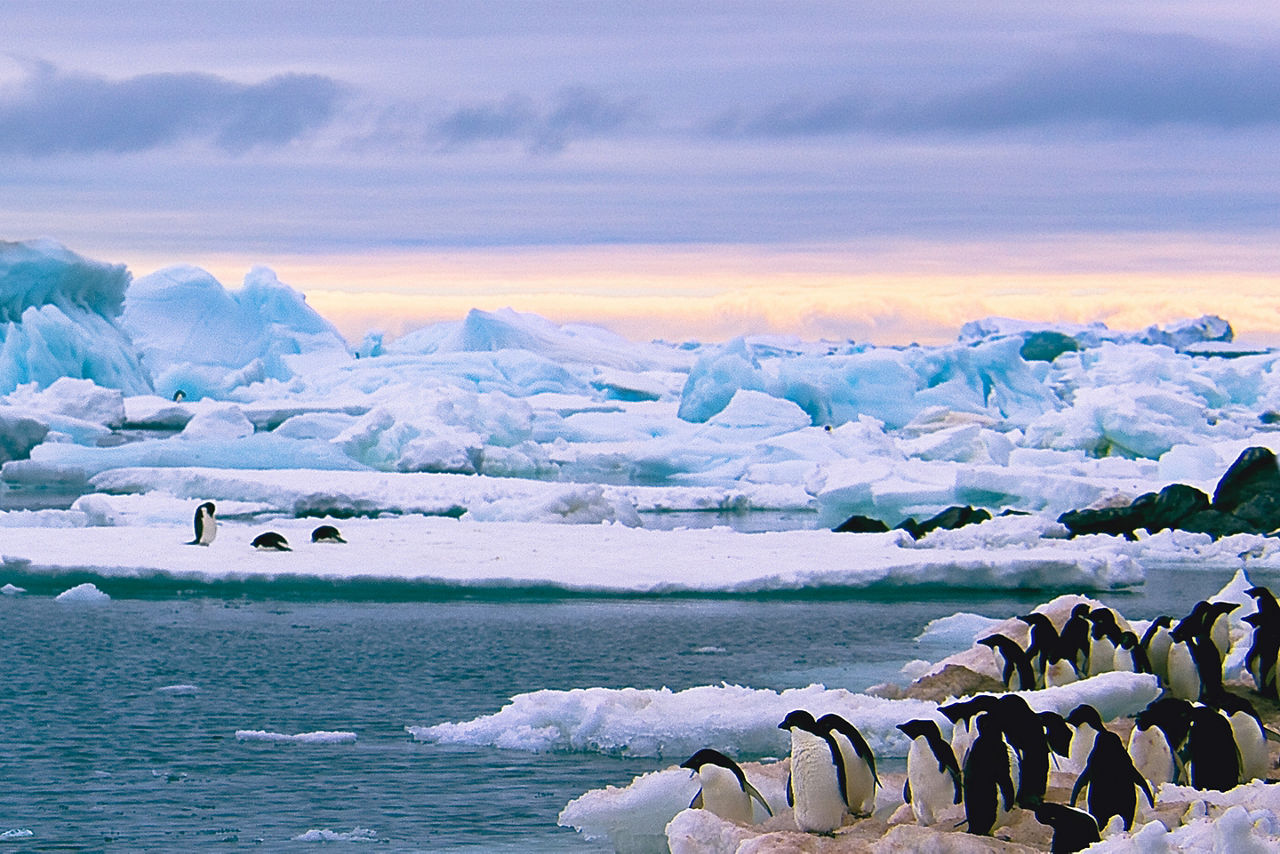 Beautiful view of icebergs in Antarctica