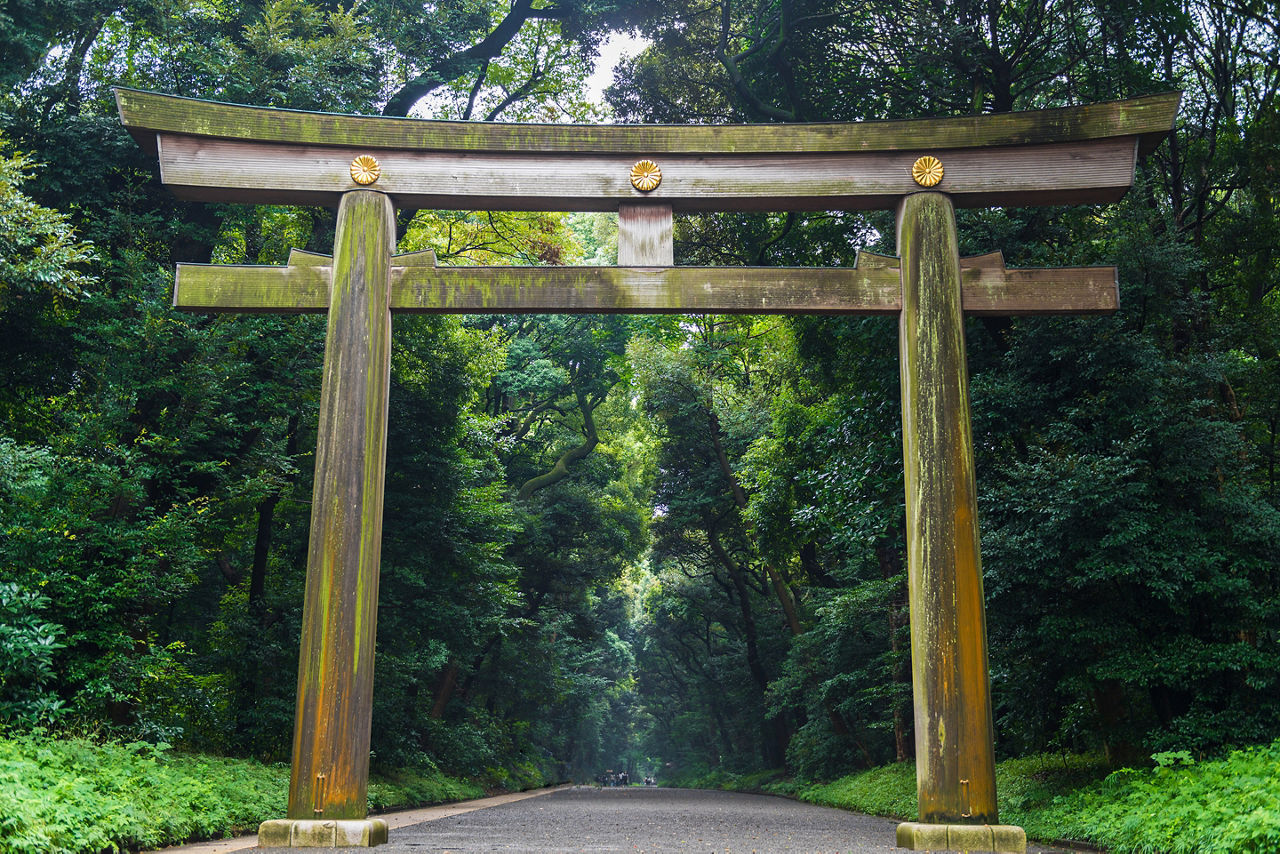 japan tokyo meiji jingu temple