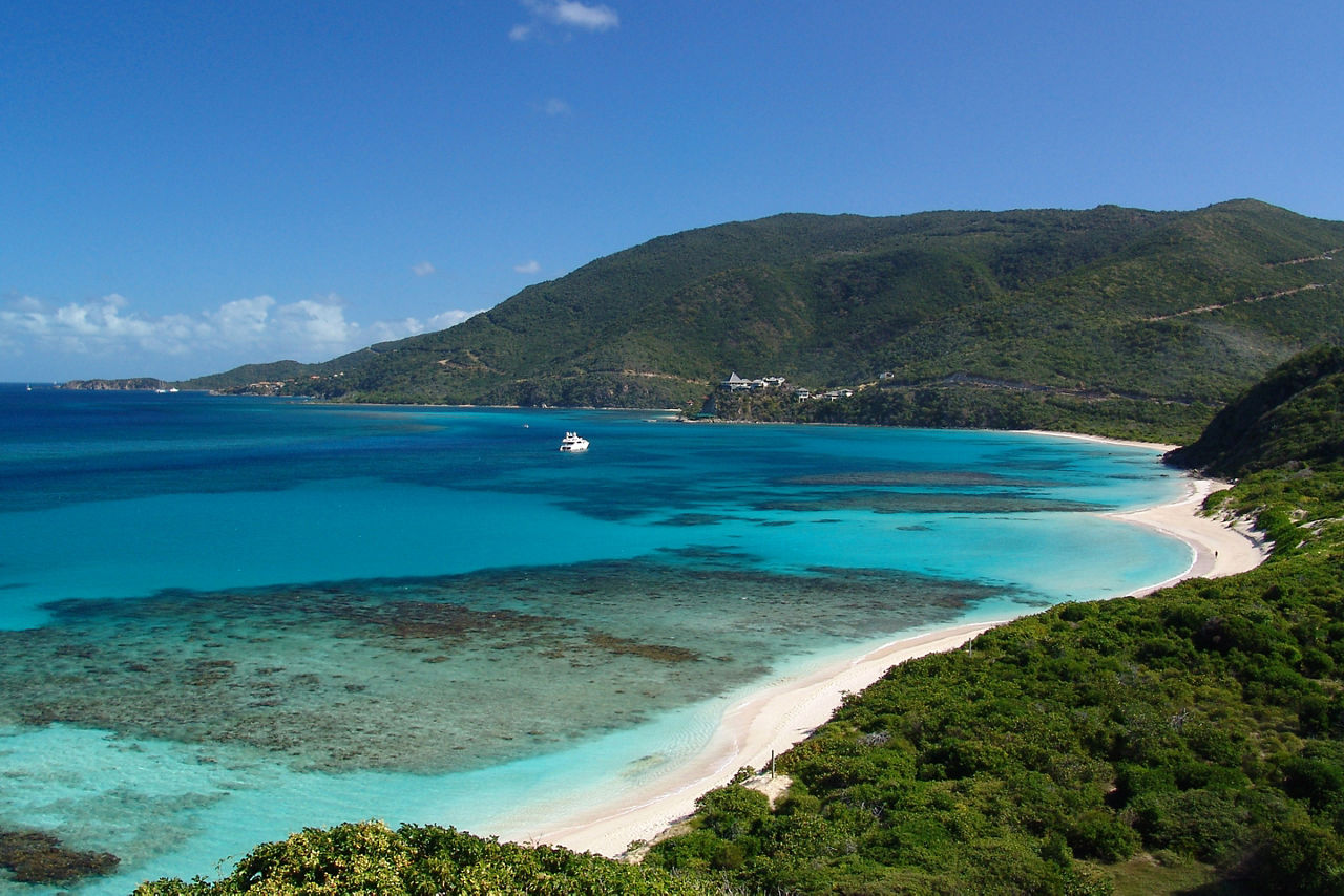 Virgin Gorda Beach Greenery 